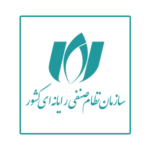 نظام صنفی رایانه ای